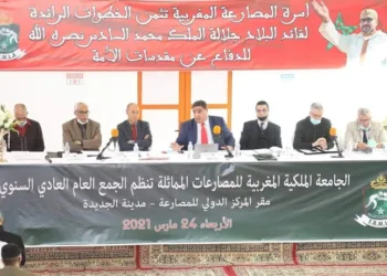 La Fédération Royale Marocaine des Luttes Associées tient son Assemblée Générale