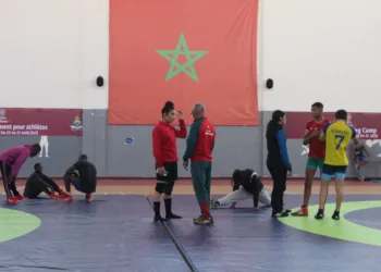 Le Grand Challenge des Lutteurs Africains : Force, Fierté, Victoire