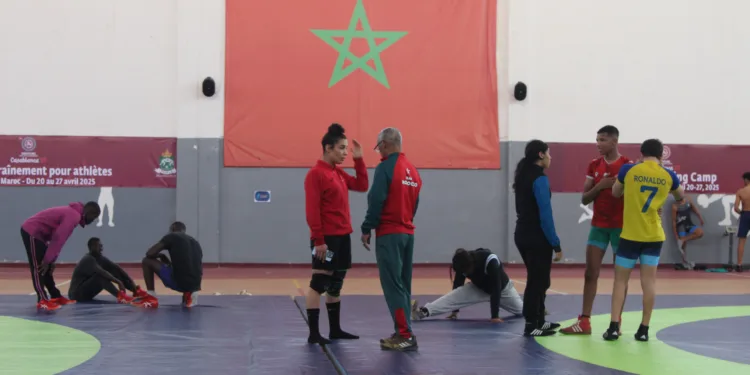 Le Grand Challenge des Lutteurs Africains : Force, Fierté, Victoire